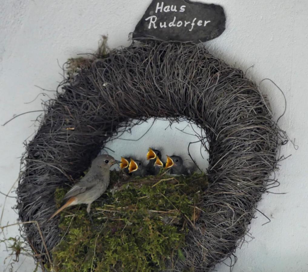 فندق Ferienweingut Rudorfer فلاويخ المظهر الخارجي الصورة