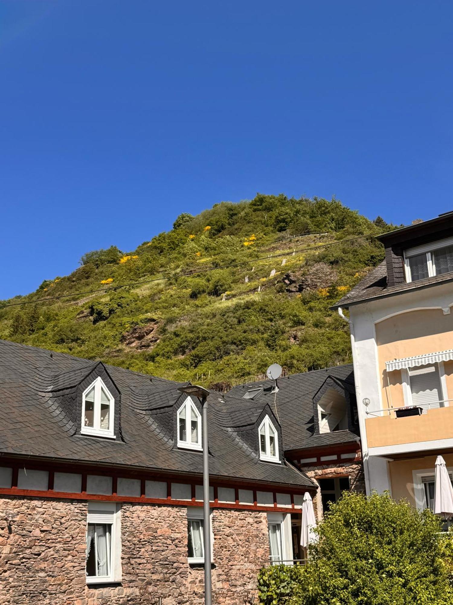 فندق Ferienweingut Rudorfer فلاويخ الغرفة الصورة