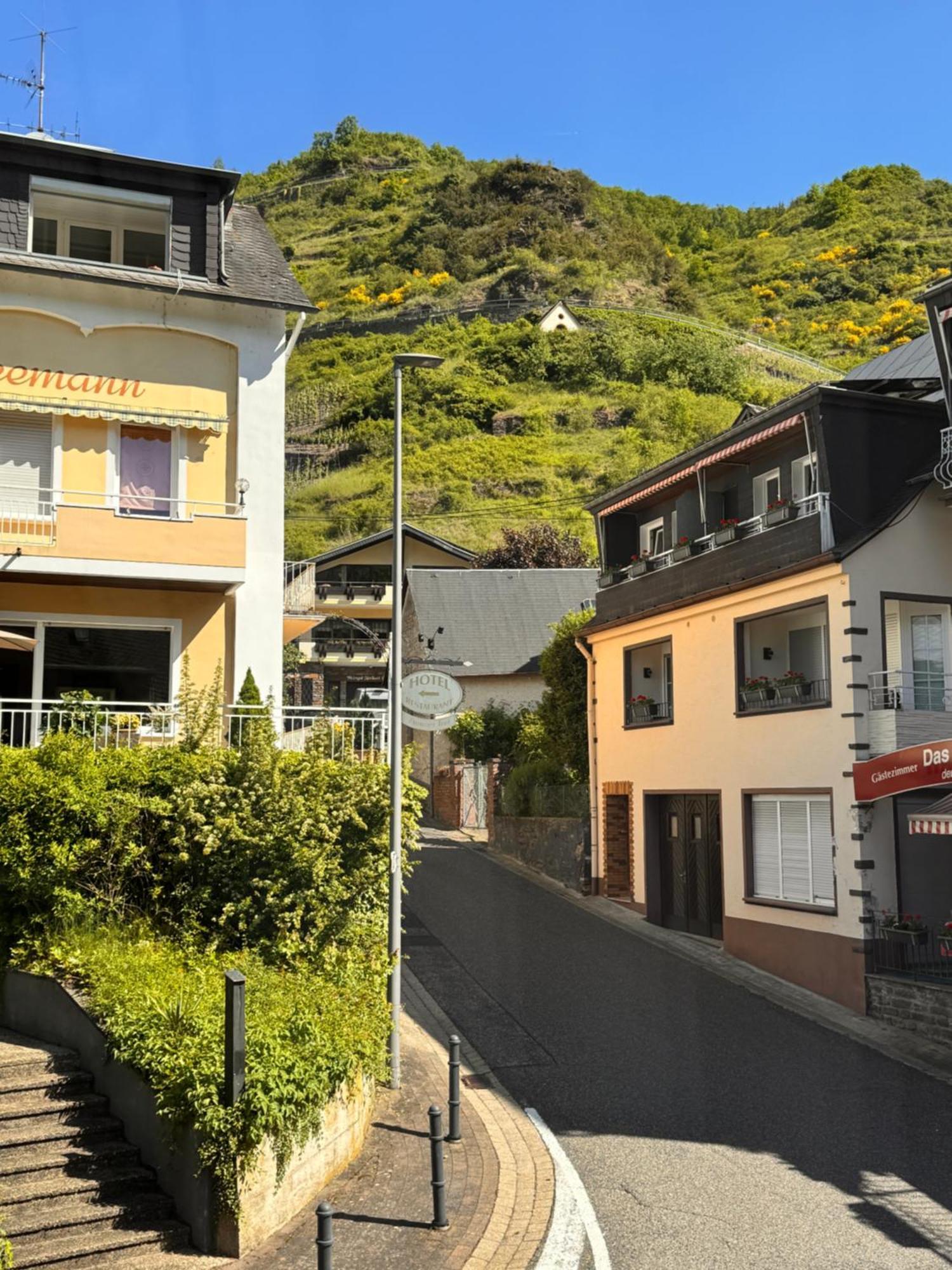 فندق Ferienweingut Rudorfer فلاويخ الغرفة الصورة