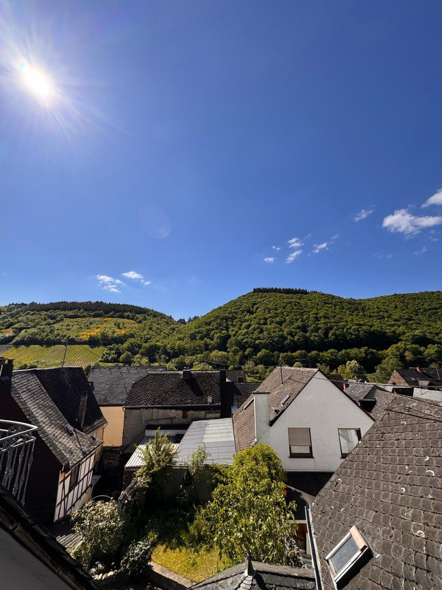 فندق Ferienweingut Rudorfer فلاويخ الغرفة الصورة