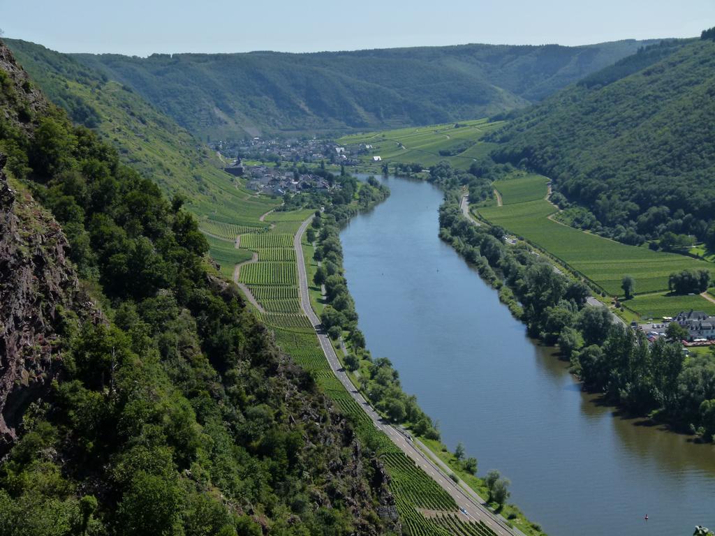 فندق Ferienweingut Rudorfer فلاويخ المظهر الخارجي الصورة