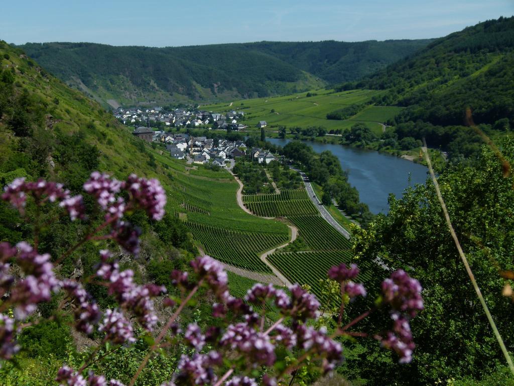 فندق Ferienweingut Rudorfer فلاويخ المظهر الخارجي الصورة